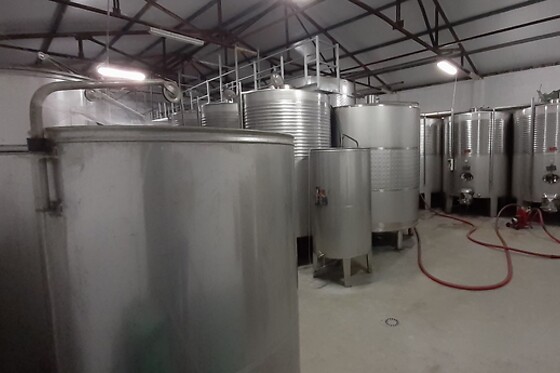 BODEGA VAL DE QUIROGA - photo 5