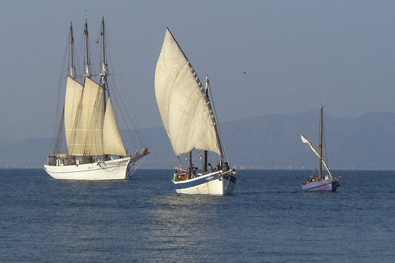 TELA MARINERA - photo 1