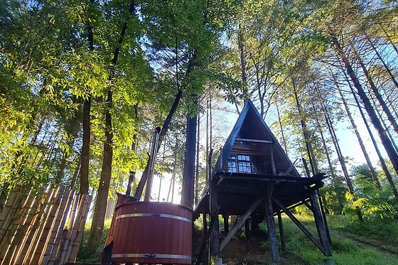 Les cabanes de roquehort - photo 9