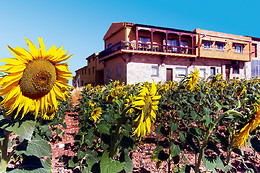 CASAS RURALES LA ANTIGUA VAQUERIA