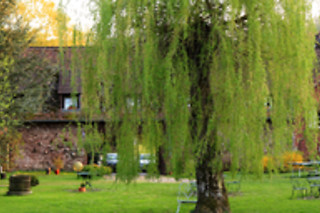 Repas en duo à l'Hôtel Anthon à Obersteinbach (67)