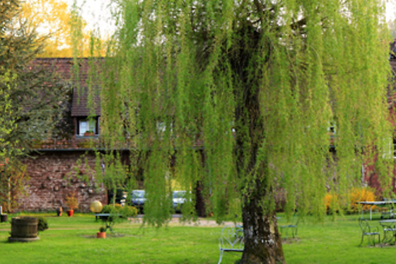Repas en duo à l'Hôtel Anthon à Obersteinbach (67)