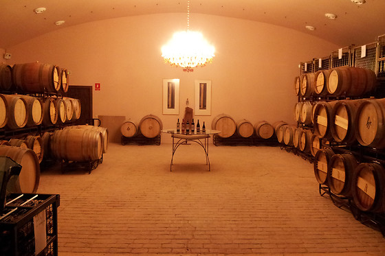BODEGAS MOROSANTO - photo 2