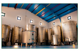 BODEGAS MOROSANTO