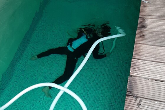 Diving Force - photo 3