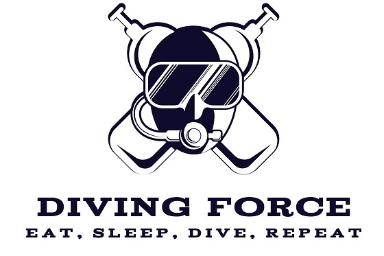 Diving Force - photo 8