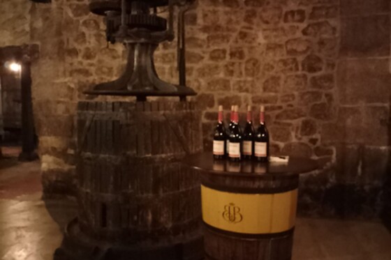 BODEGAS BILBAINAS - photo 4