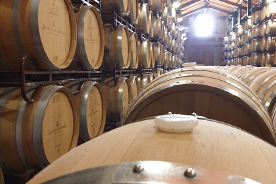 BODEGAS BILBAINAS - photo 9