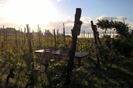Cascina La Maddalena Bed & Wine