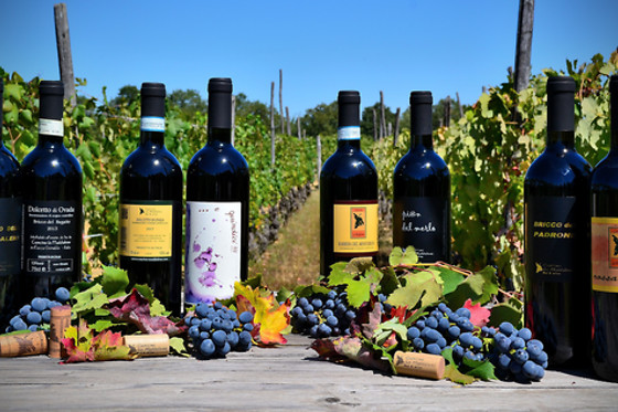 Cascina La Maddalena Bed & Wine - photo 4