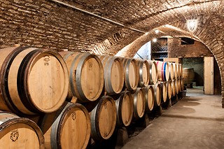Dégustation en duo à la Maison Chanzy à Bouzeron (71)