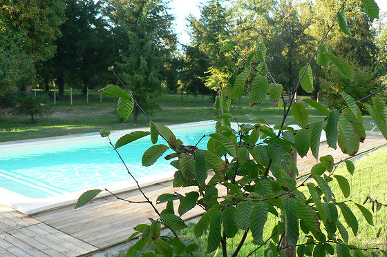Château de Clauzuroux - photo 7