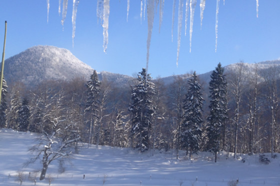 Berghof Montpelon - photo 0