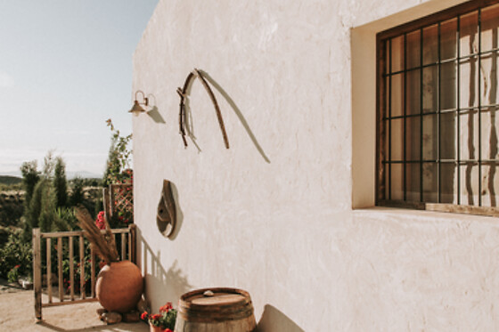 FINCA EL POCICO - photo 27