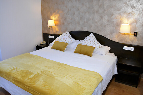 HOTEL VILLA DE BIAR - photo 4