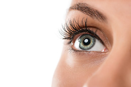 CLINICA ECLIPSE