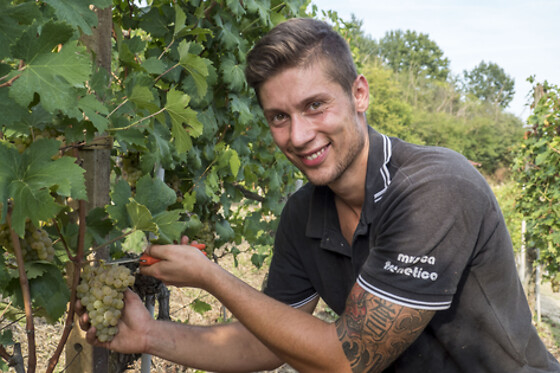 Bajaj - Cantina & Agriturismo - photo 1