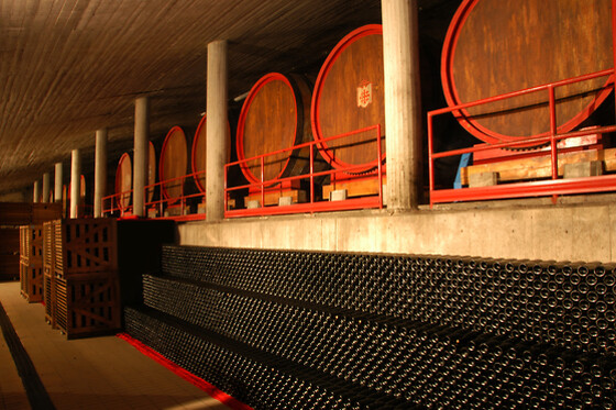 Antichi Vigneti di Cantalupo - photo 9