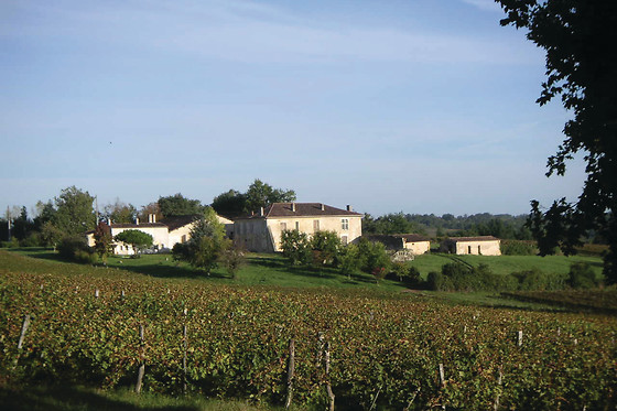 Dégustation de vin pour 2 à L’école du vin Ludivinum à Saint-Jean-de-Védas (34)