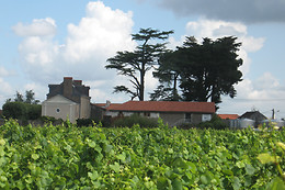 Château de l'Epinay (St Fiacre sur Maine)