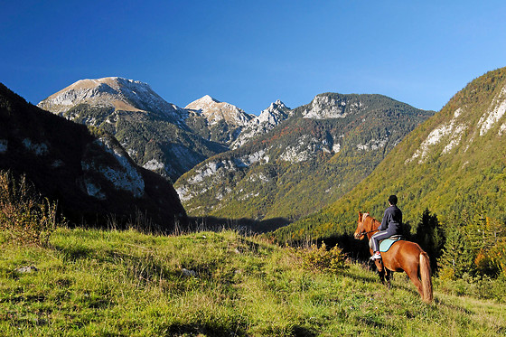 Centre Equestre les Onglous - photo 9