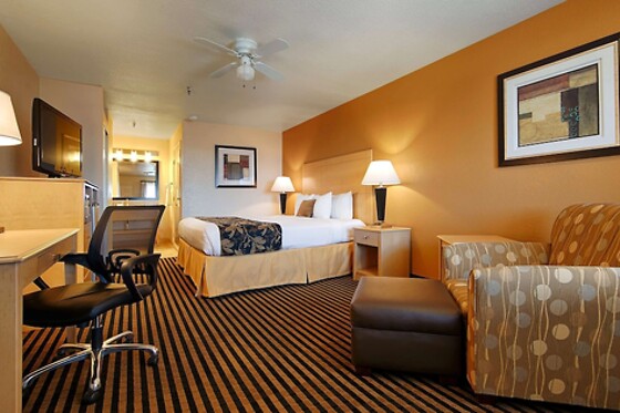 Online Booking EPS - photo 6