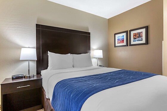Online Booking EPS - photo 9