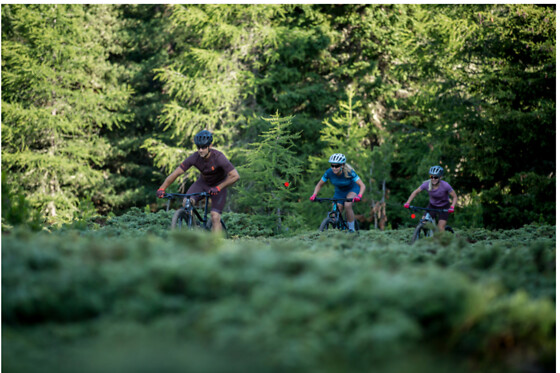 Cycle sport - photo 1