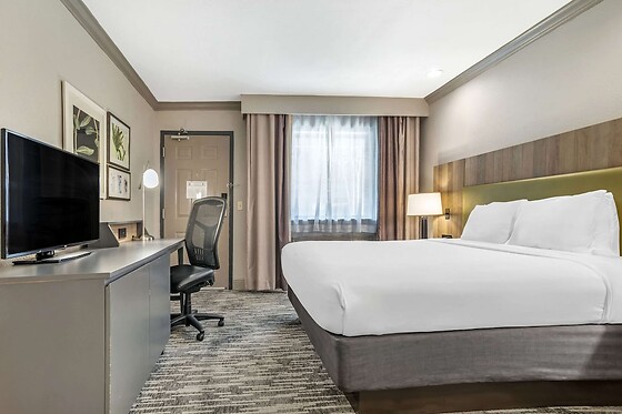 Online Booking EPS - photo 7