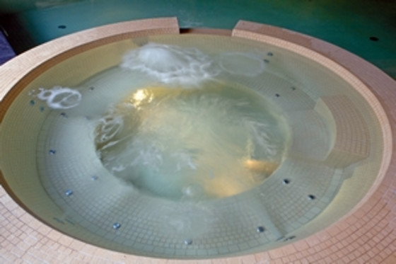 City spa Cascina Scova - photo 5