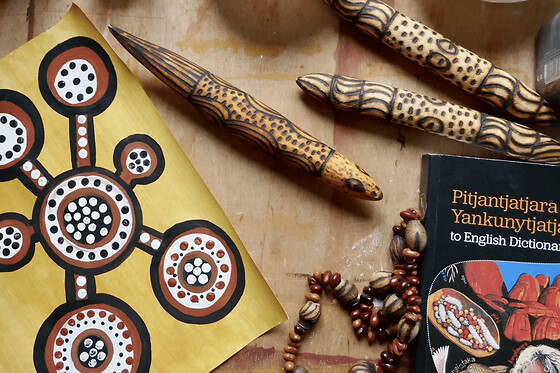 Atelier d'initiation à la peinture aborigène à Paris 12ème
