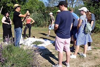 Atelier cueillette et distillation de lavande à Bellegarde (30)