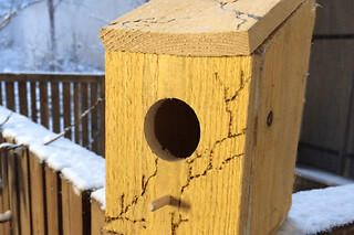 Atelier parent/enfant "Le nichoir à oiseaux" à Paris 18ème