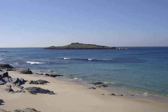 ECOALGA - CENTRO DE MERGULHO DA COSTA ALENTEJANA - photo 7