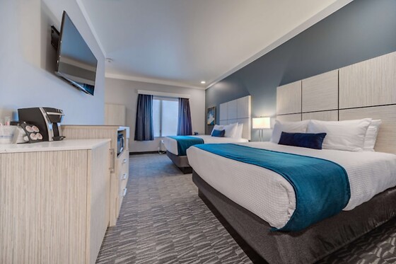 Online Booking EPS - photo 5