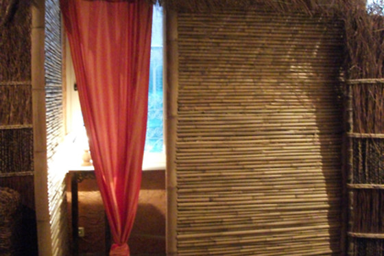 Anthea Coutances - photo 2
