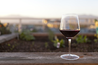 Atelier vigneron interactif pour 2 chez Œnanim à Saint-Emilion (33)