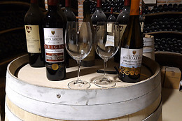 BODEGAS CASTILLO DE MONJARDIN