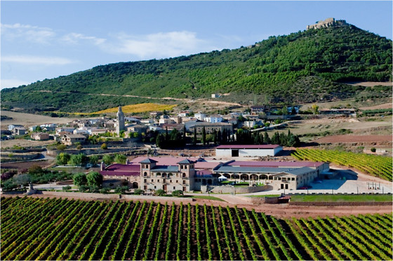 BODEGAS CASTILLO DE MONJARDIN - photo 3