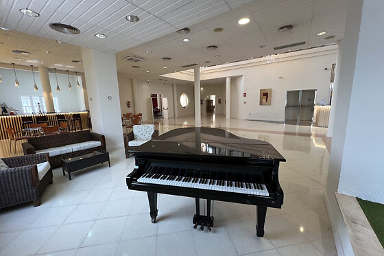 HOTEL BLU TORRE DE SEVILLA - photo 2