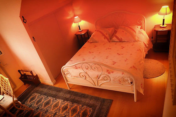 Chambres d'hôtes Au cœur du parc boisé - photo 3