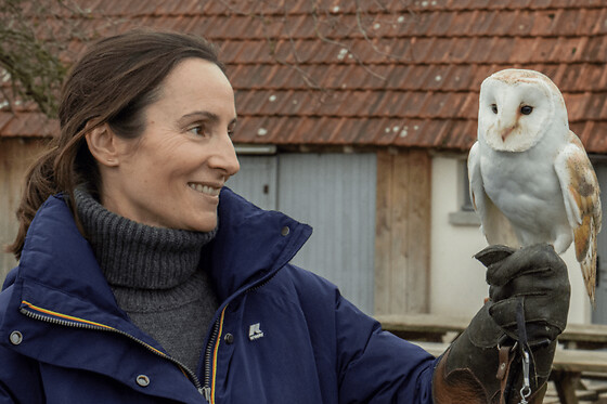 Rencontre avec les oiseaux Stars de cinéma près d'Orléans - Enfant
