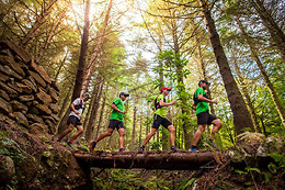 MADEIRA TRAIL TOURS