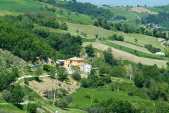 Agriturismo La Vecchia Fontana - photo 4