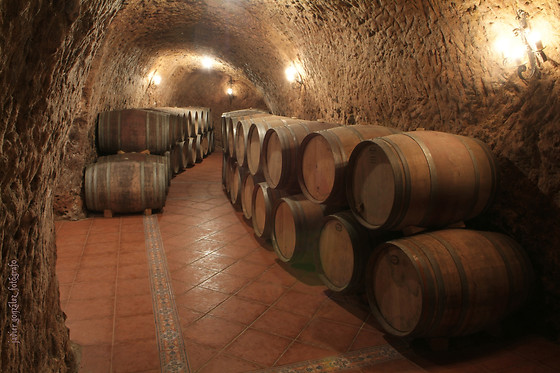 BODEGAS RENALTERRA - photo 2