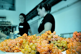 PAZO BAIÓN