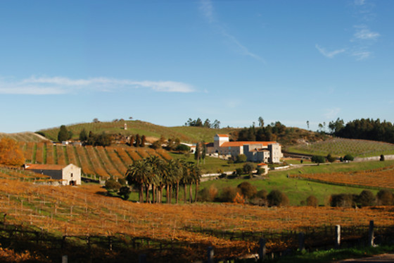 PAZO BAIÓN - photo 5