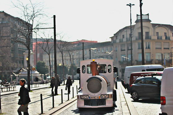MagicTourism - photo 4