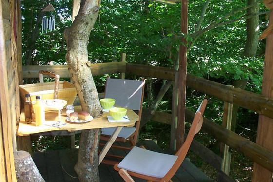 Le P'tit Gris des Moulins - photo 3