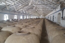 BODEGAS PEREZ BARQUERO